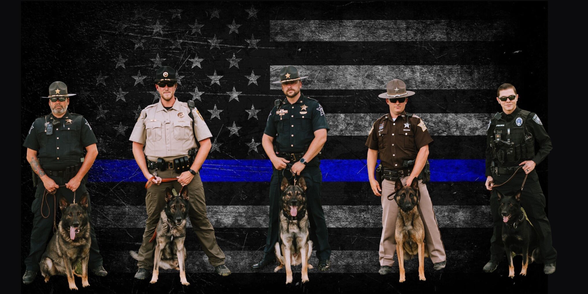 Sullivan County K9s